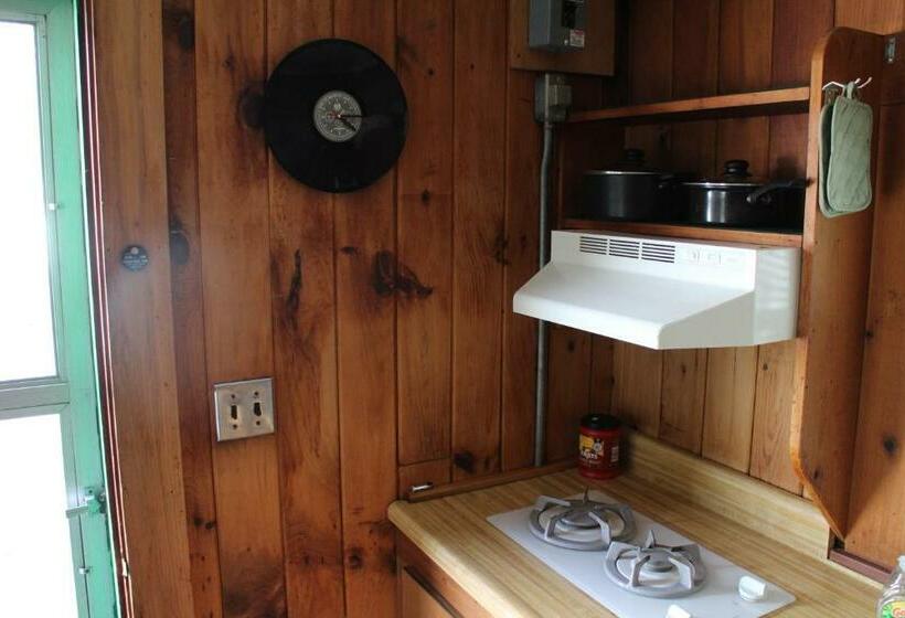 모텔 Pine Valley Cabins