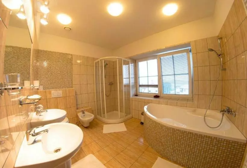 Wellness Hotel Hukvaldy Polopenze A Wellness V Ceně