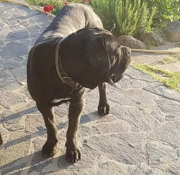 Agriturismo Gennemara B&b