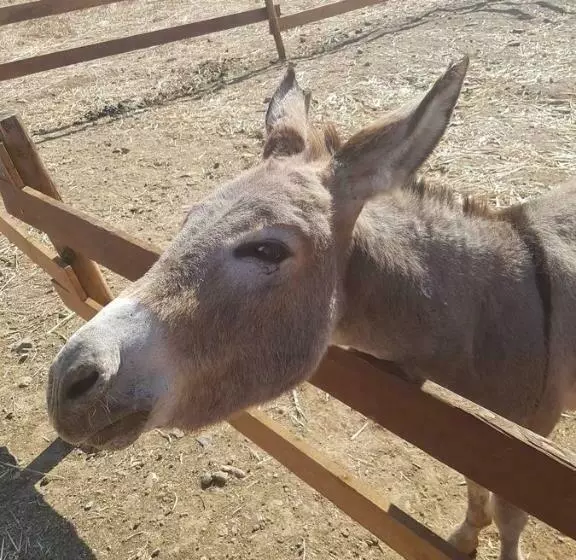 Agriturismo Gennemara B&b