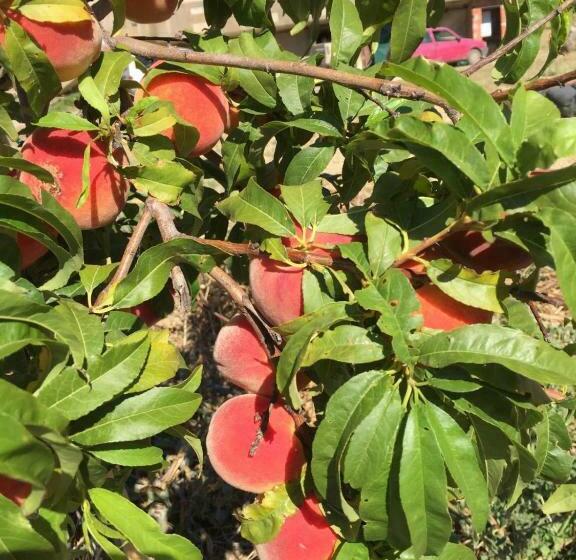 Agriturismo Gennemara B&b