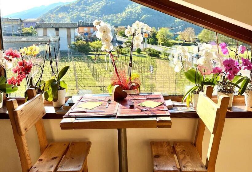 B&b Valtellina Mon Amour