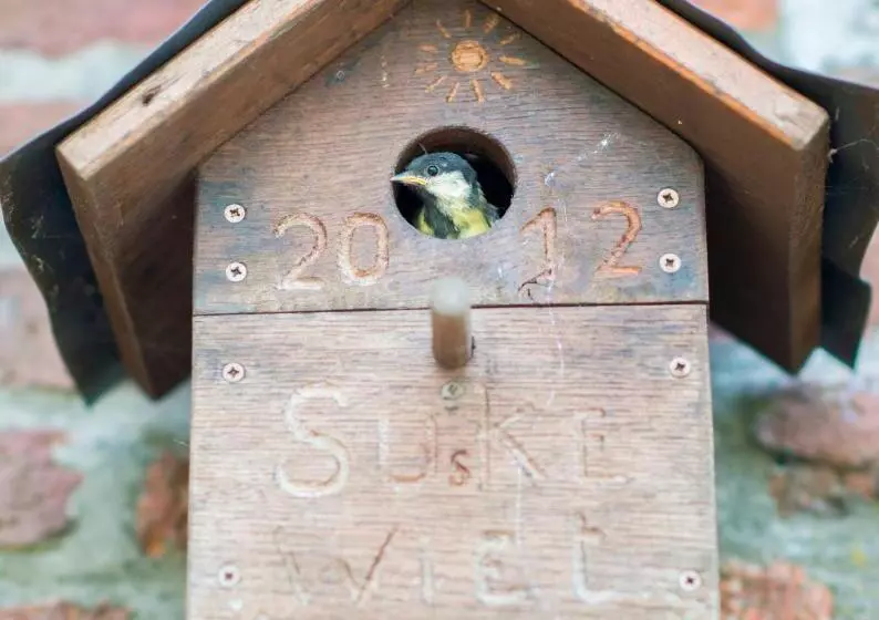 ベッドアンドブレックファースト Gilles De Ver