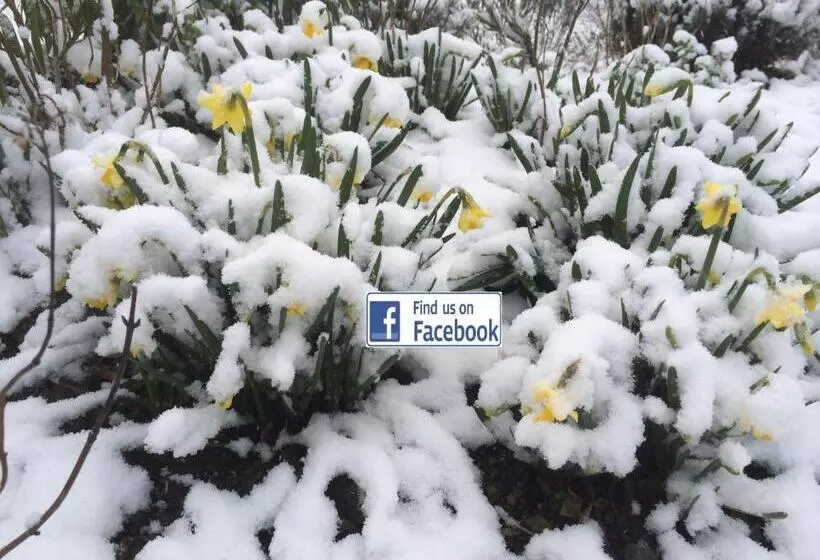 ベッドアンドブレックファースト Gilles De Ver