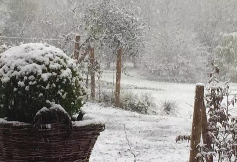 ベッドアンドブレックファースト Gilles De Ver