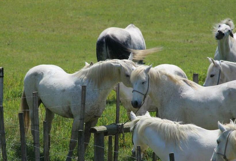 住宿加早餐 Manade Saint Louis Mas De La Paix
