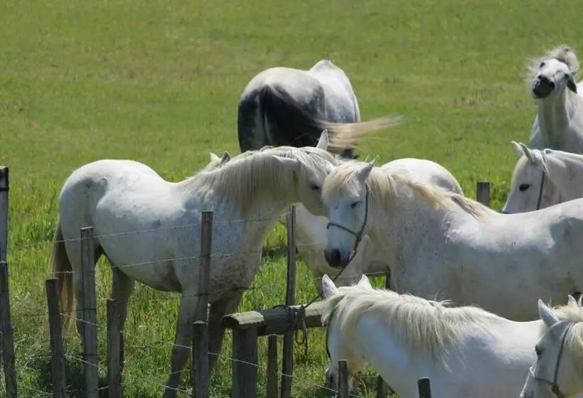 ベッドアンドブレックファースト Manade Saint Louis Mas De La Paix