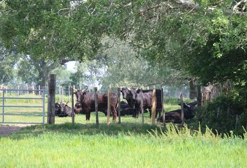 ベッドアンドブレックファースト Manade Saint Louis Mas De La Paix