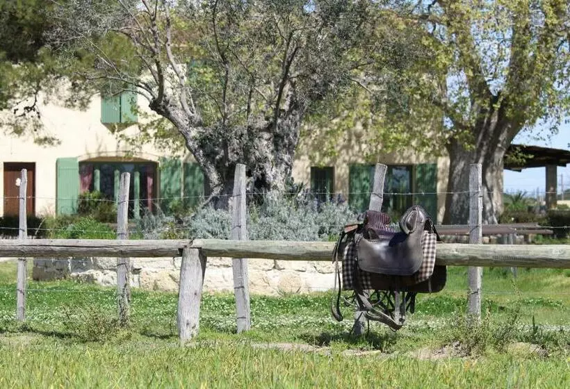 ベッドアンドブレックファースト Manade Saint Louis Mas De La Paix