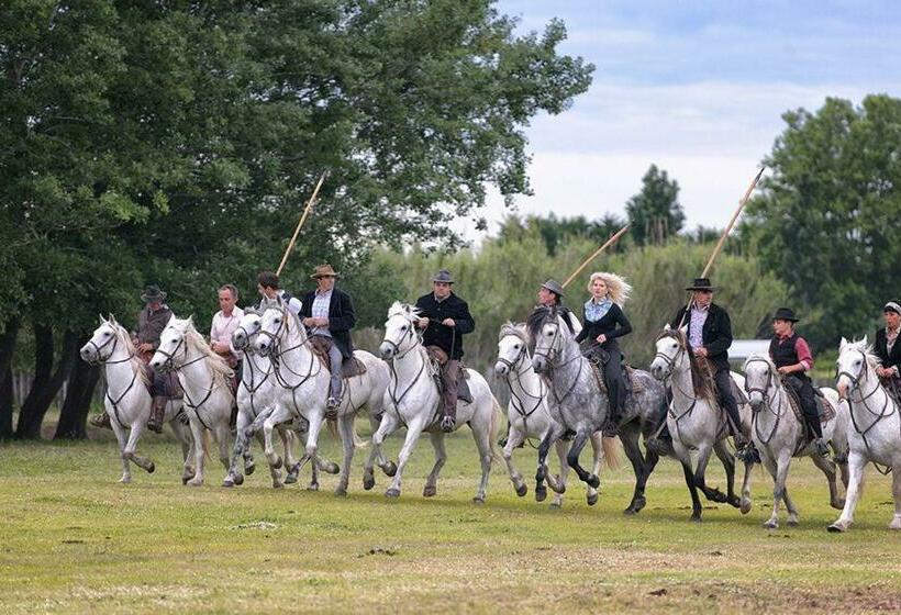 住宿加早餐 Manade Saint Louis Mas De La Paix