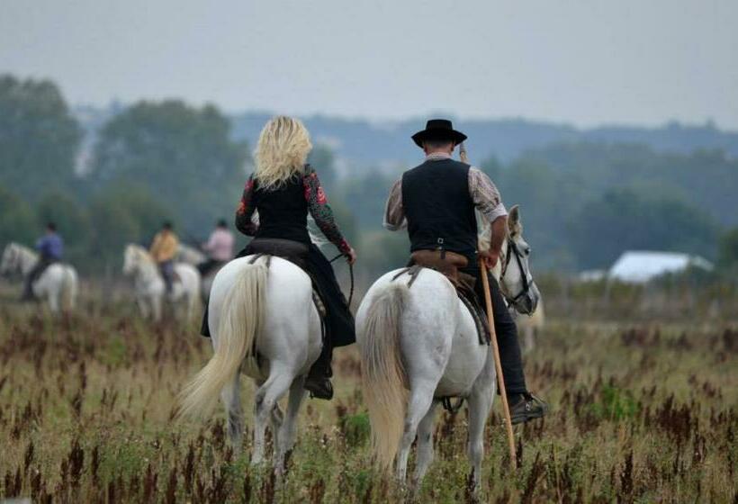 住宿加早餐 Manade Saint Louis Mas De La Paix