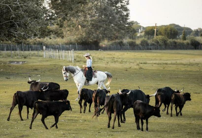 住宿加早餐 Manade Saint Louis Mas De La Paix