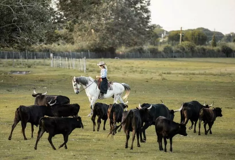 ベッドアンドブレックファースト Manade Saint Louis Mas De La Paix