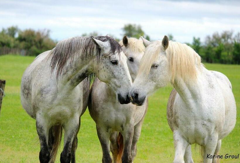 住宿加早餐 Manade Saint Louis Mas De La Paix