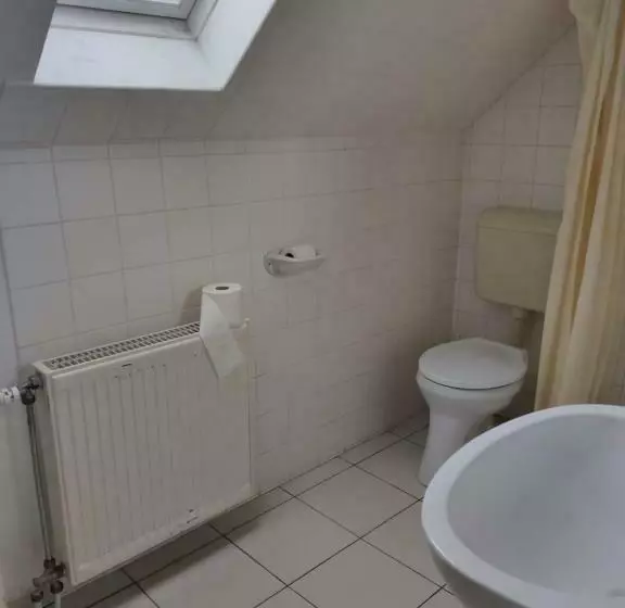 ベッドアンドブレックファースト Panzió Kemping Bekölce