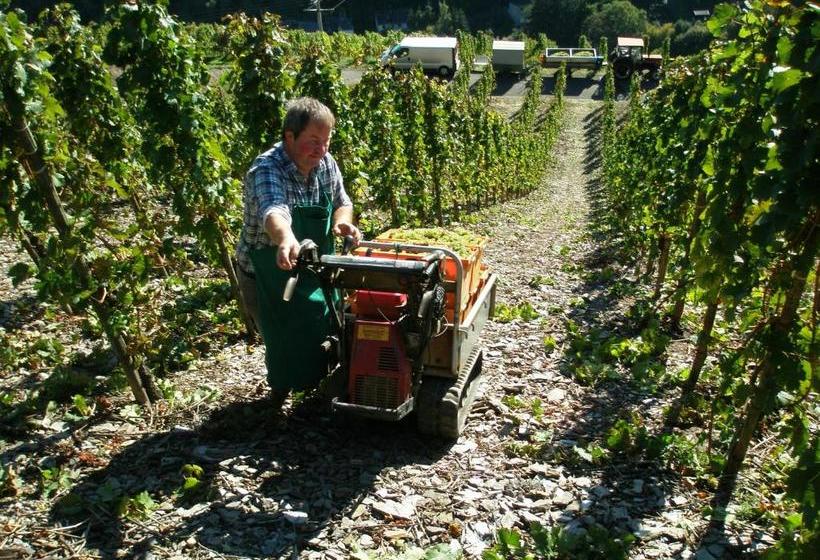 צימר Weingut U. Gästehaus Menten