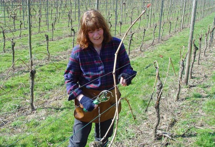 צימר Weingut U. Gästehaus Menten