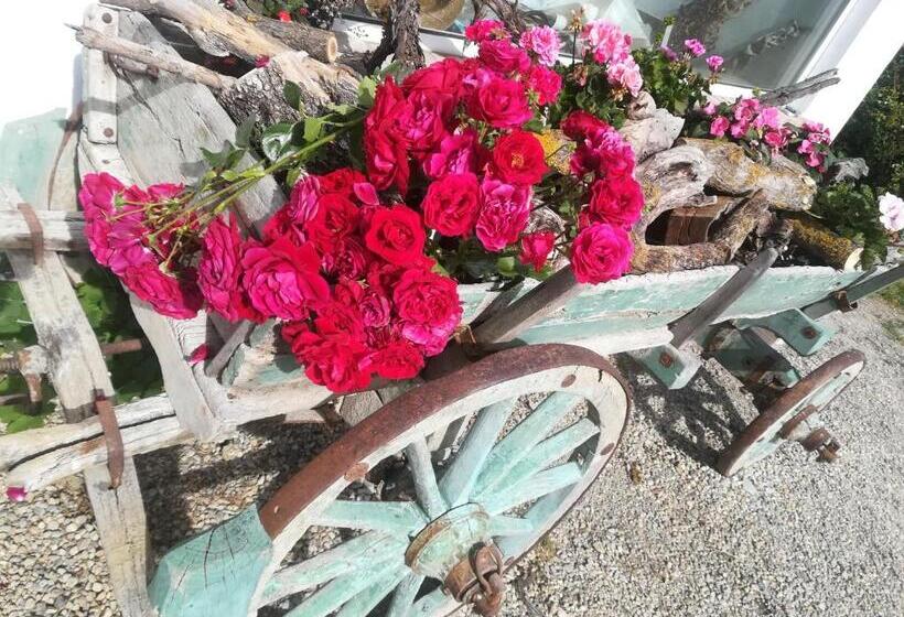 בית מלון כפרי Agriturismo Malvista