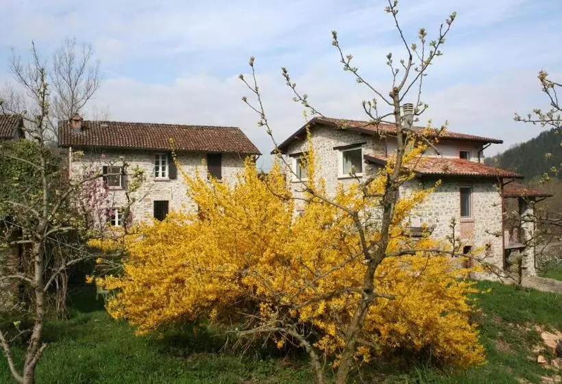 ホテル Agriturismo Malvista