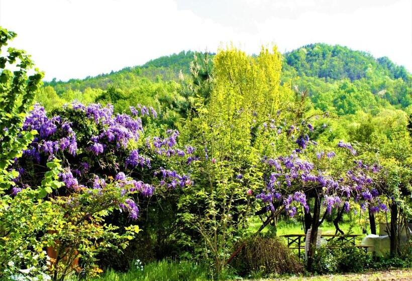 בית מלון כפרי Agriturismo Malvista