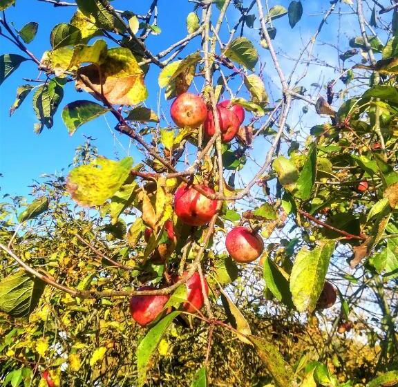 בית מלון כפרי Agriturismo Malvista