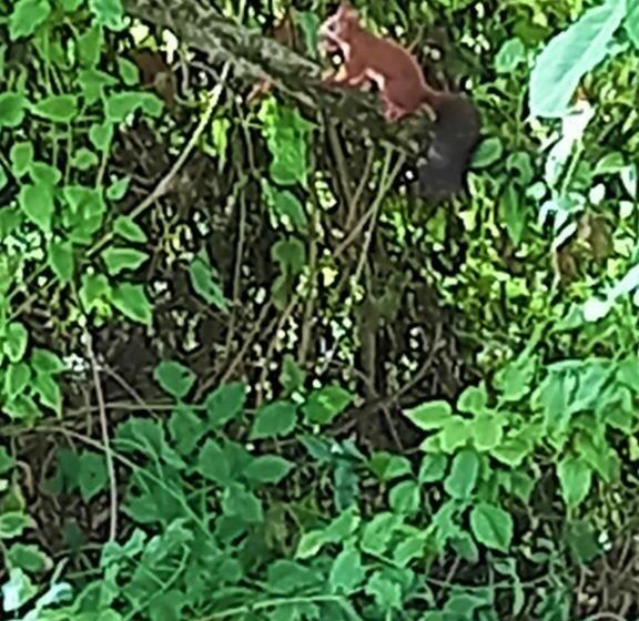 בית מלון כפרי Agriturismo Malvista