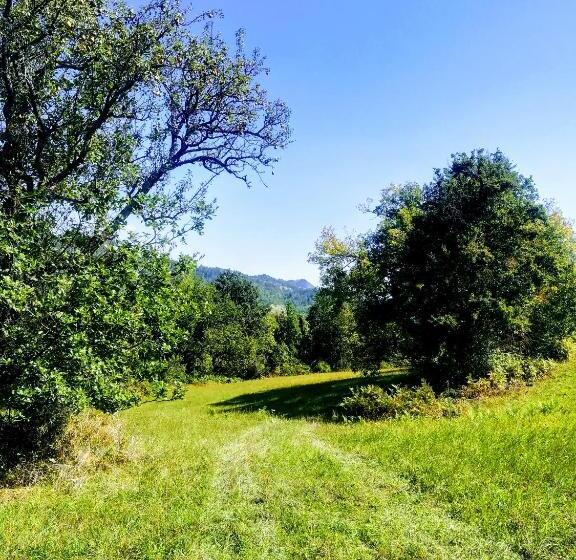 בית מלון כפרי Agriturismo Malvista