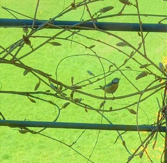 בית מלון כפרי Agriturismo Malvista