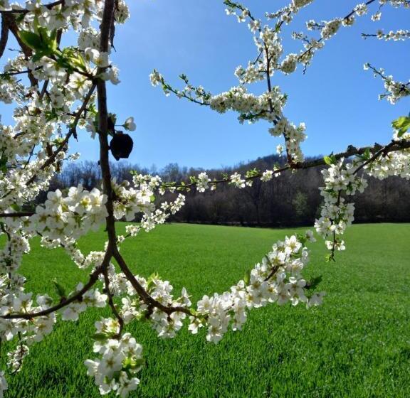 בית מלון כפרי Agriturismo Malvista