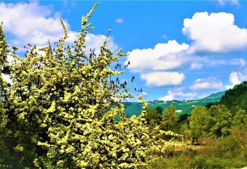 ホテル Agriturismo Malvista