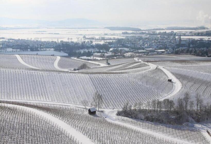 Otel Gasthof Rotes Roß