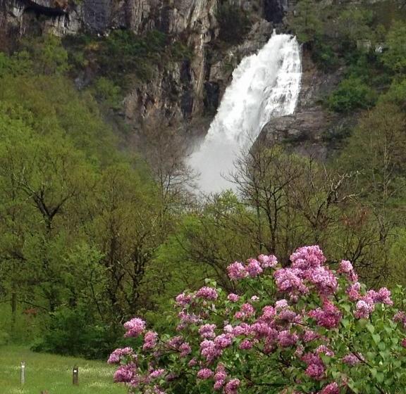 ペンション Casa Martinelli, Boutique