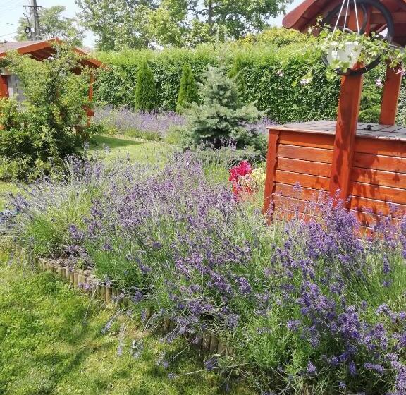 펜션 Levendula Vendégház