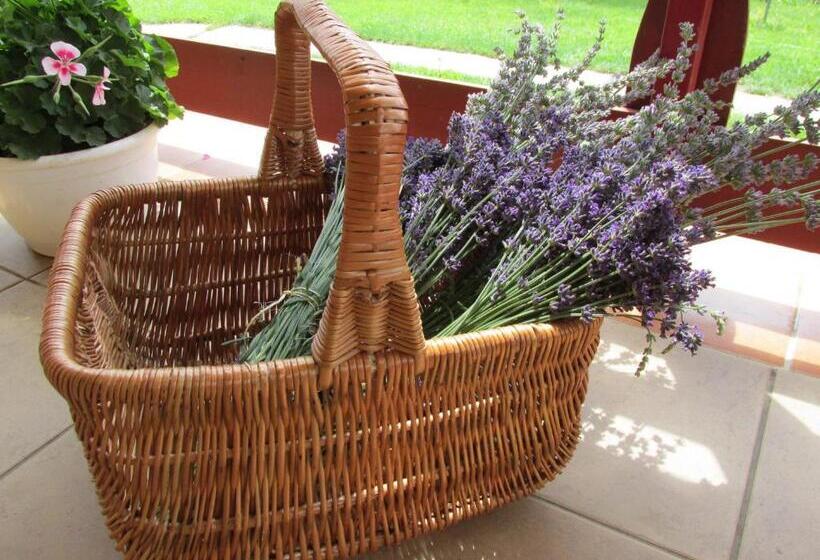 펜션 Levendula Vendégház