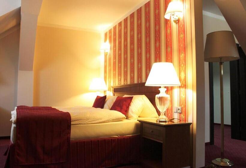 膳宿费 Penzion U Karla Iv