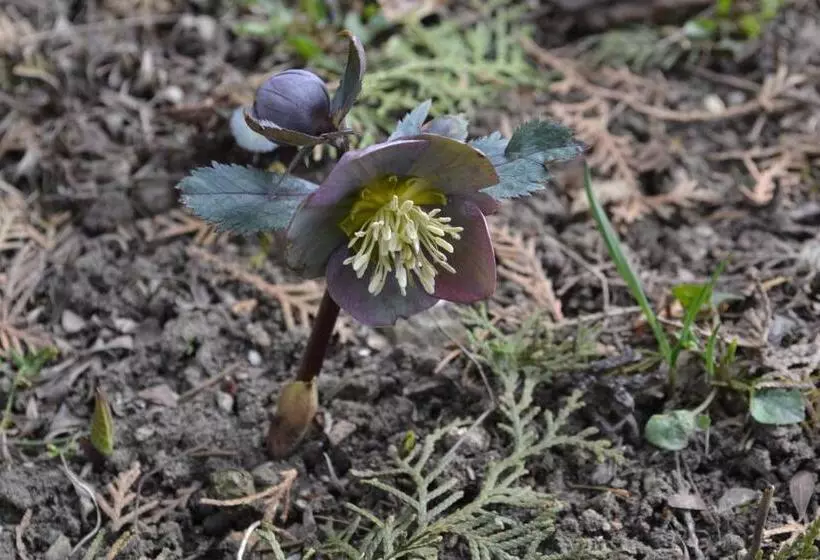 Majatalo Vár Lak Vendégház