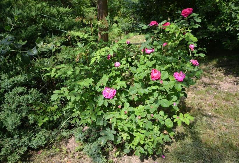 Пансион Vár Lak Vendégház