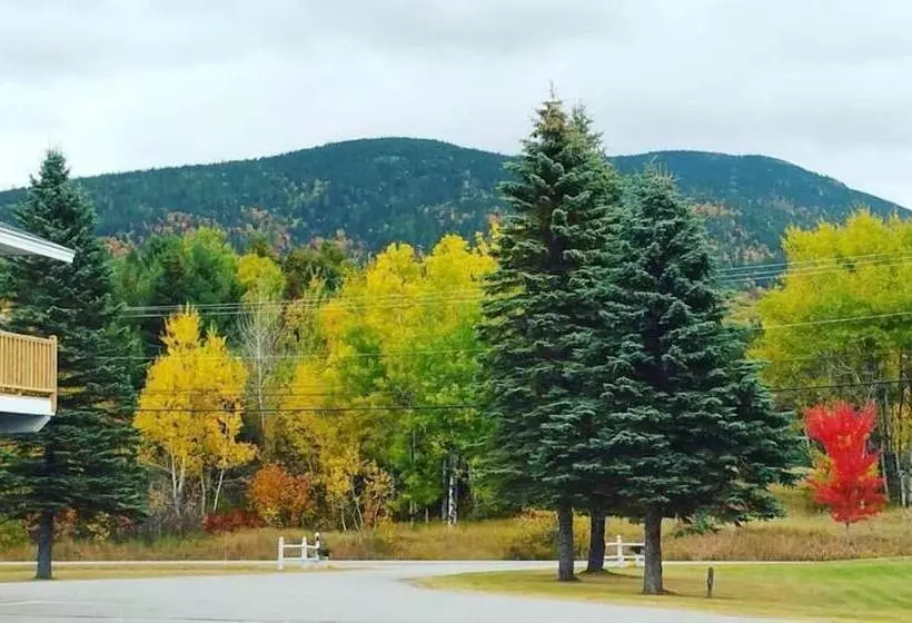 Spillover Motel And Inn