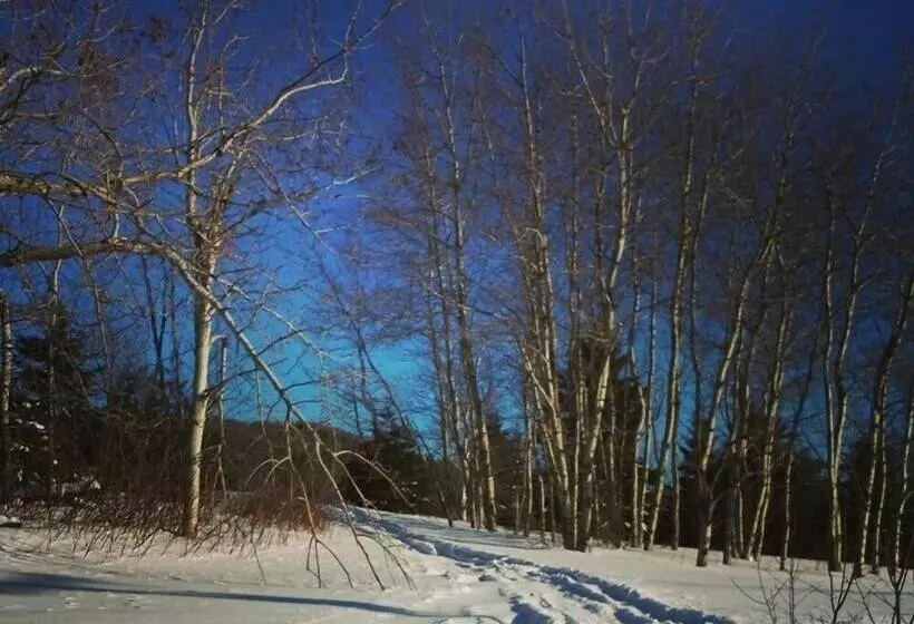 Spillover Motel And Inn