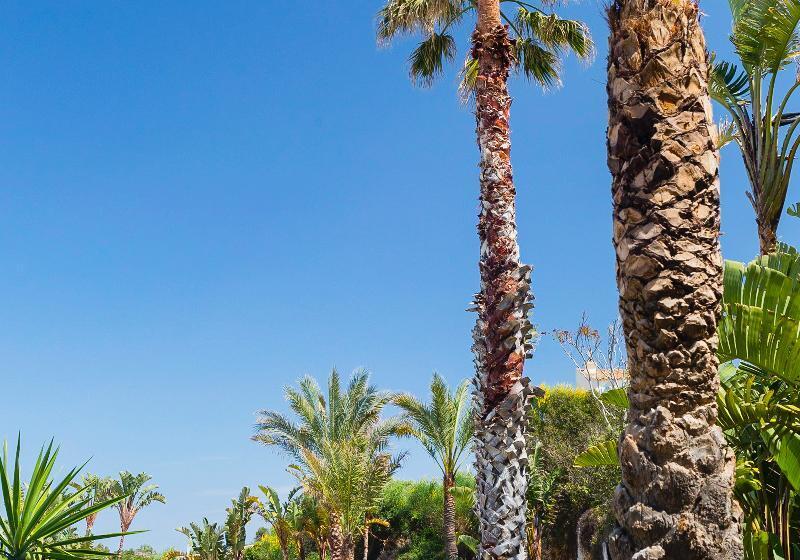 Bimbolla Apartaments