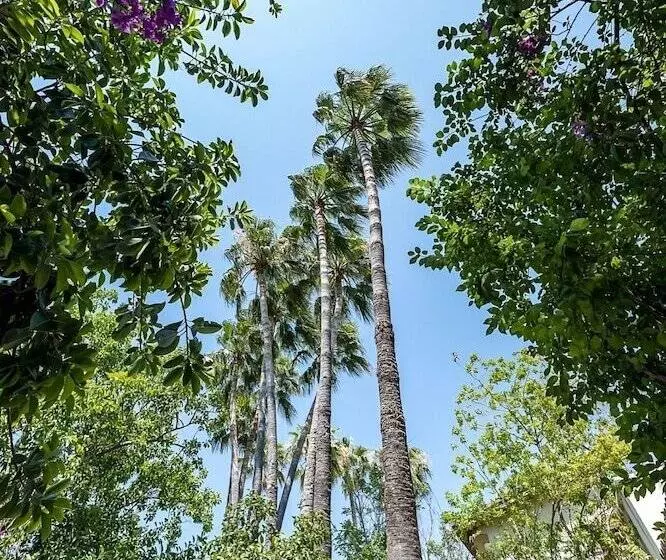 Отель Riverside Garden Resort