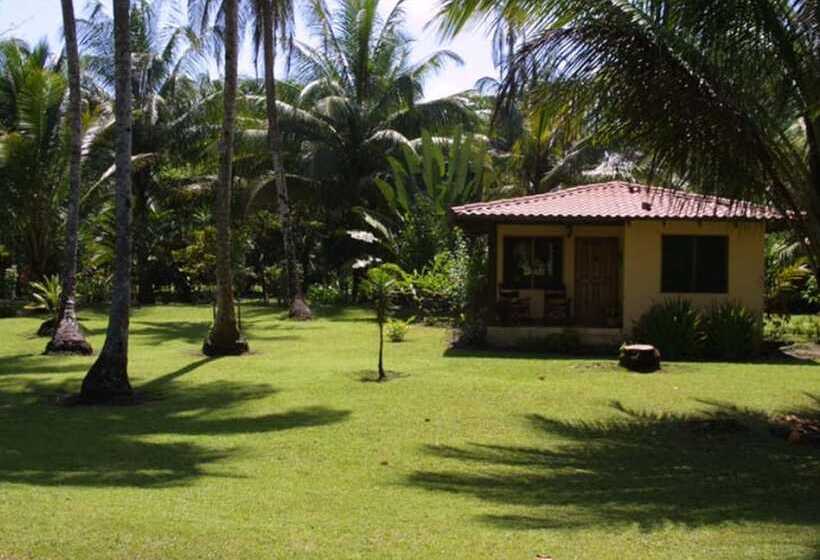 هتل Turtle Beach Lodge