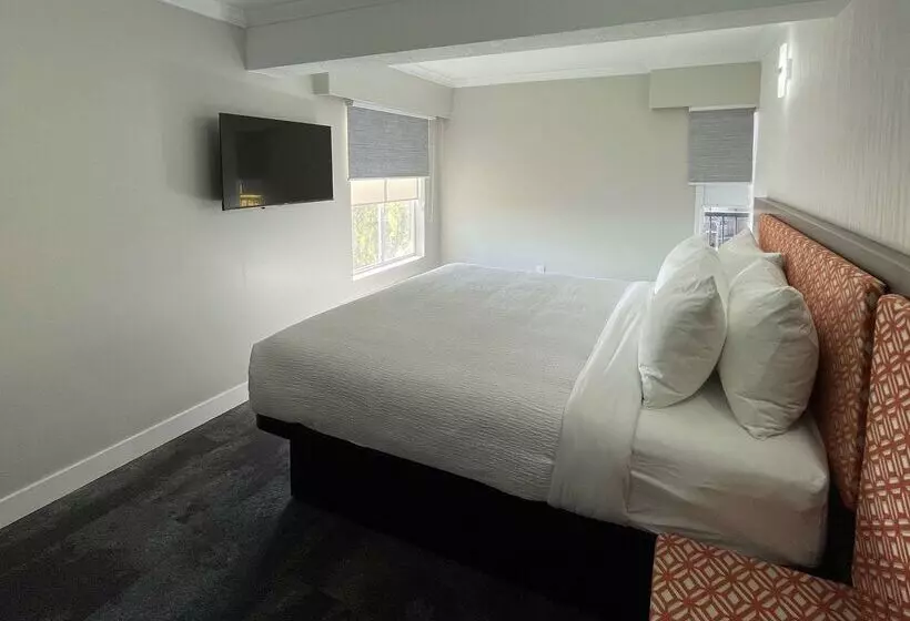 The Vic, Ascend Hotel Collection