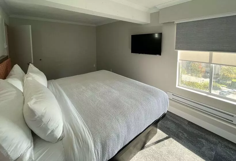 The Vic, Ascend Hotel Collection