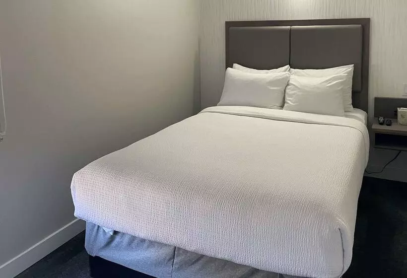 The Vic, Ascend Hotel Collection