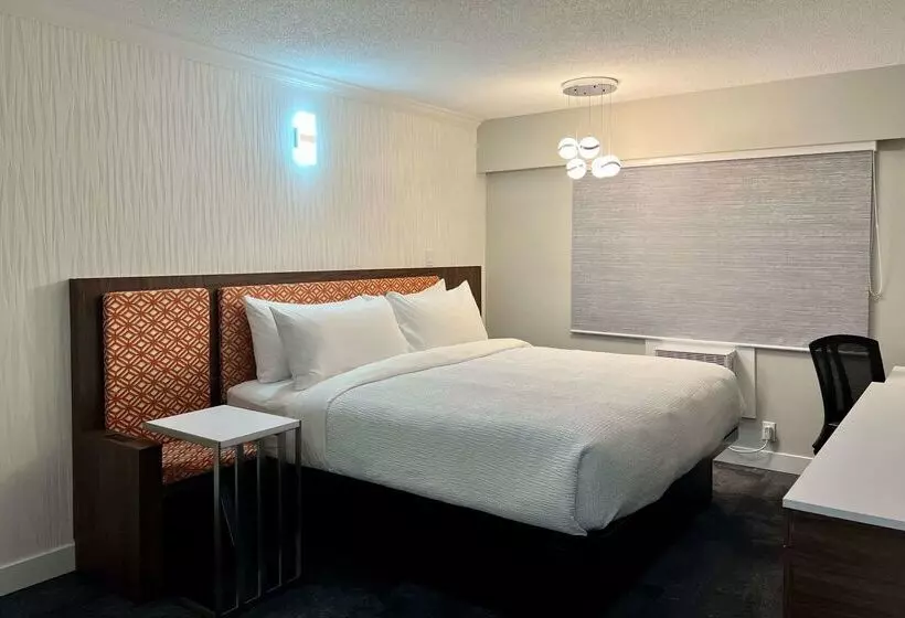 The Vic, Ascend Hotel Collection