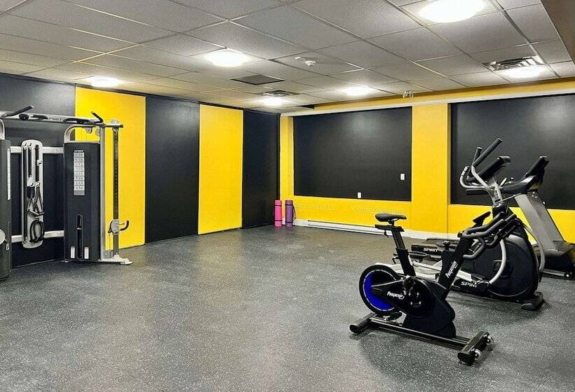 The Vic, Ascend Hotel Collection