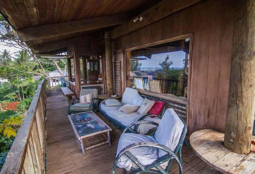 Общежитие Backpackers Vacation Inn And Plantation Village