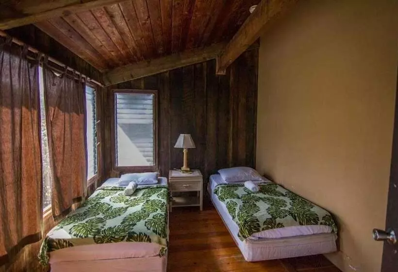 Retkeilymaja Backpackers Vacation Inn And Plantation Village