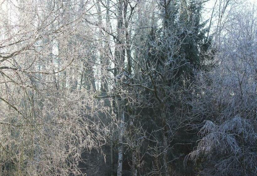 فندق صغير Pension Glücklich